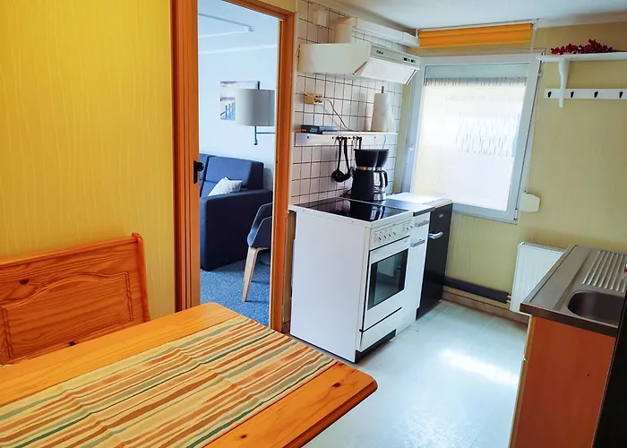 Sirius Daire Penzance